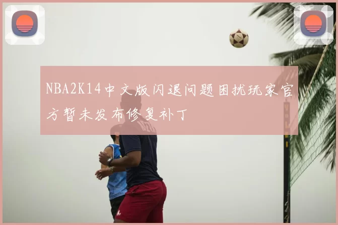 NBA2K14中文版闪退问题困扰玩家官方暂未发布修复补丁
