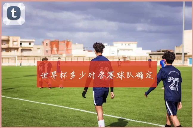 世界杯多少对参赛球队确定