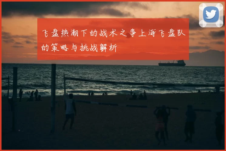 飞盘热潮下的战术之争上海飞盘队的策略与挑战解析