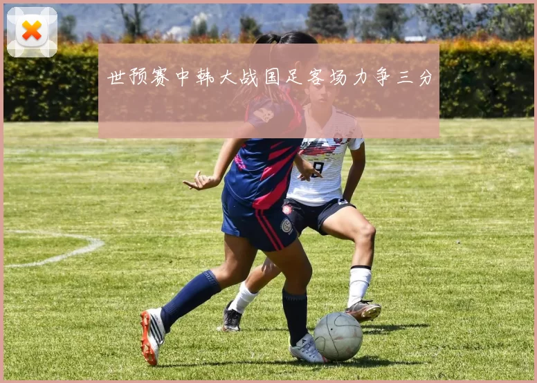 世预赛中韩大战国足客场力争三分