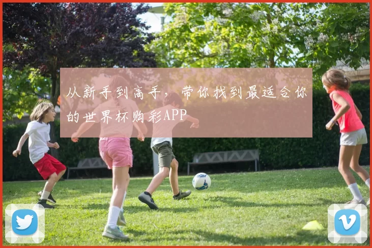 从新手到高手,带你找到最适合你的世界杯购彩APP