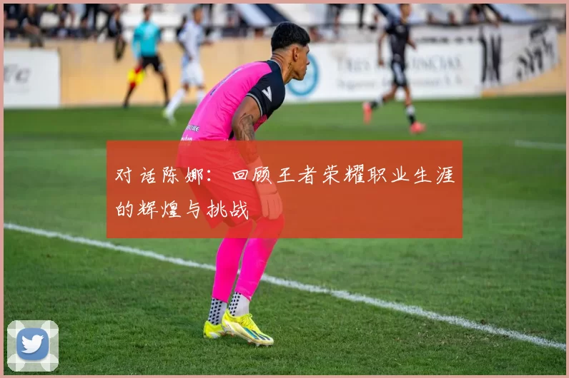 对话陈娜：回顾王者荣耀职业生涯的辉煌与挑战