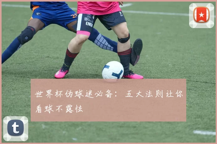 世界杯伪球迷必备：五大法则让你看球不露怯