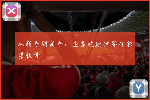 从新手到高手,全靠这款世界杯彩票软件