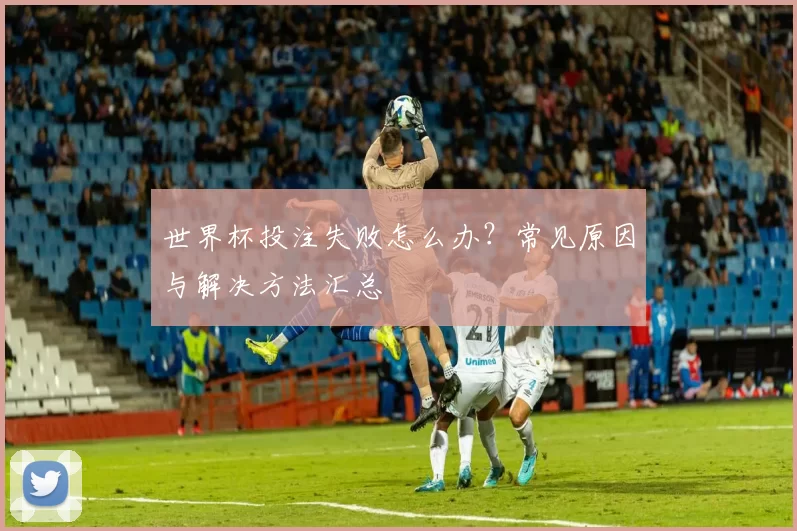 世界杯投注失败怎么办？常见原因与解决方法汇总