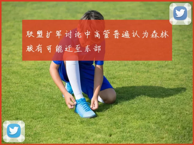 联盟扩军讨论中高管普遍认为森林狼有可能迁至东部