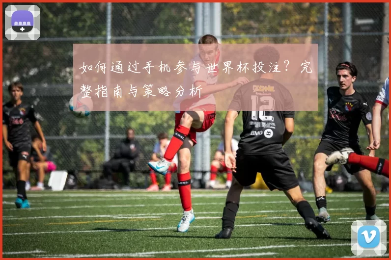 如何通过手机参与世界杯投注？完整指南与策略分析