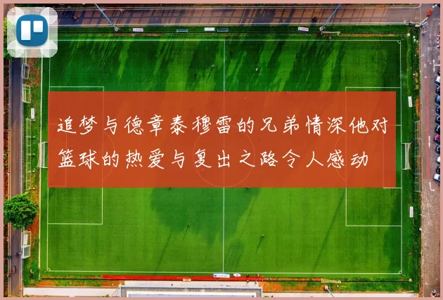追梦与德章泰穆雷的兄弟情深他对篮球的热爱与复出之路令人感动