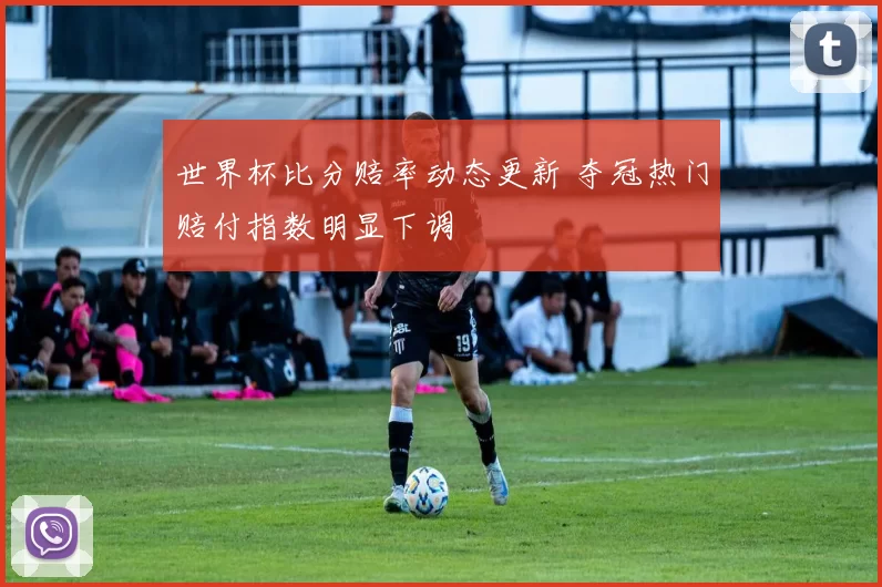 世界杯比分赔率动态更新 夺冠热门赔付指数明显下调
