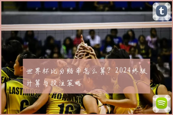 世界杯比分赔率怎么算?2024终极计算与投注策略