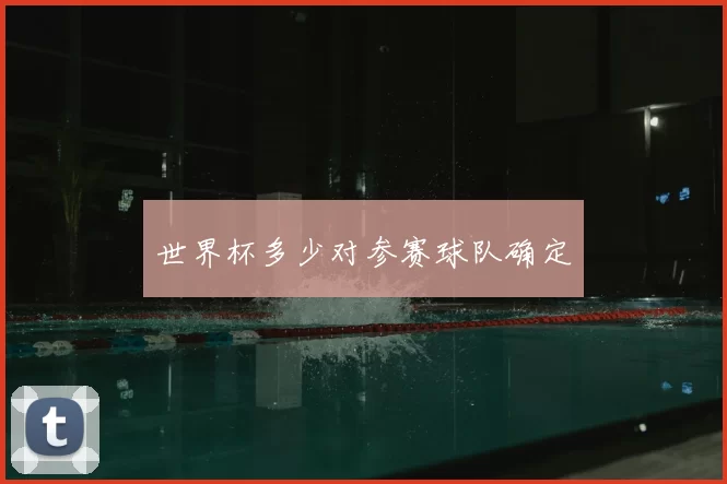 世界杯多少对参赛球队确定