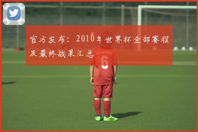 官方发布:2010年世界杯全部赛程及最终战果汇总