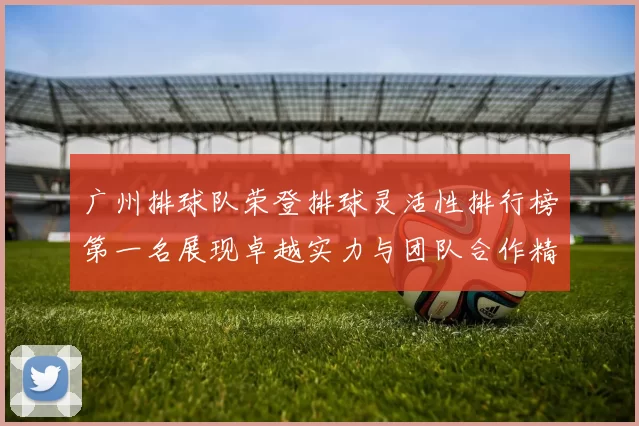 广州排球队荣登排球灵活性排行榜第一名展现卓越实力与团队合作精神