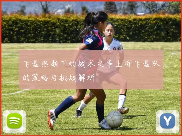 飞盘热潮下的战术之争上海飞盘队的策略与挑战解析