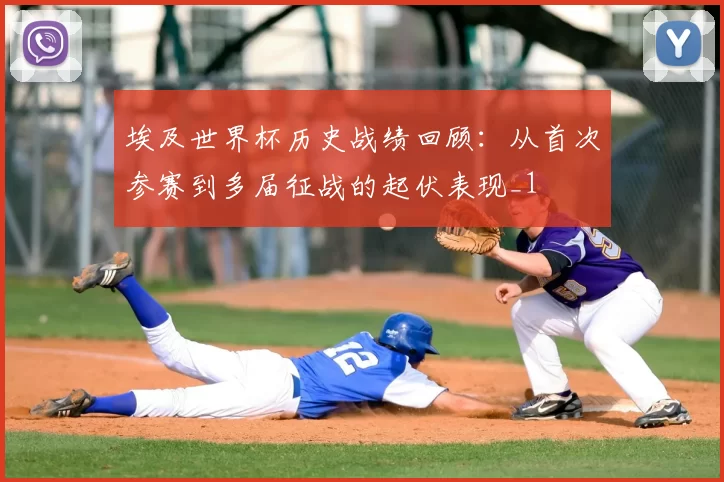 埃及世界杯历史战绩回顾:从首次参赛到多届征战的起伏表现_1
