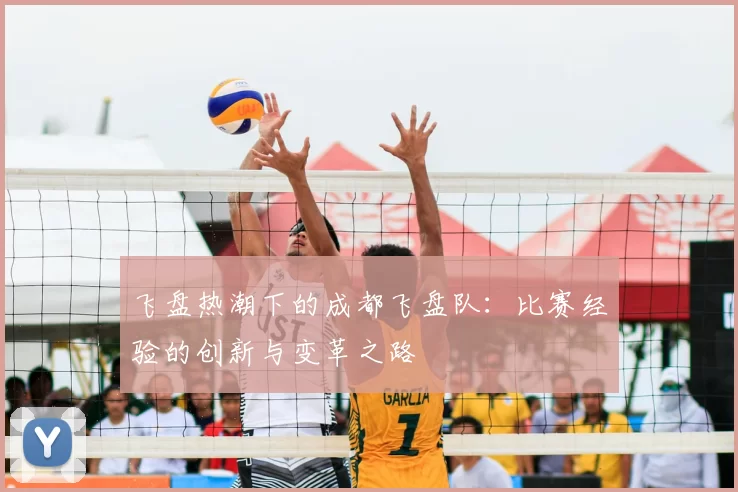 飞盘热潮下的成都飞盘队:比赛经验的创新与变革之路